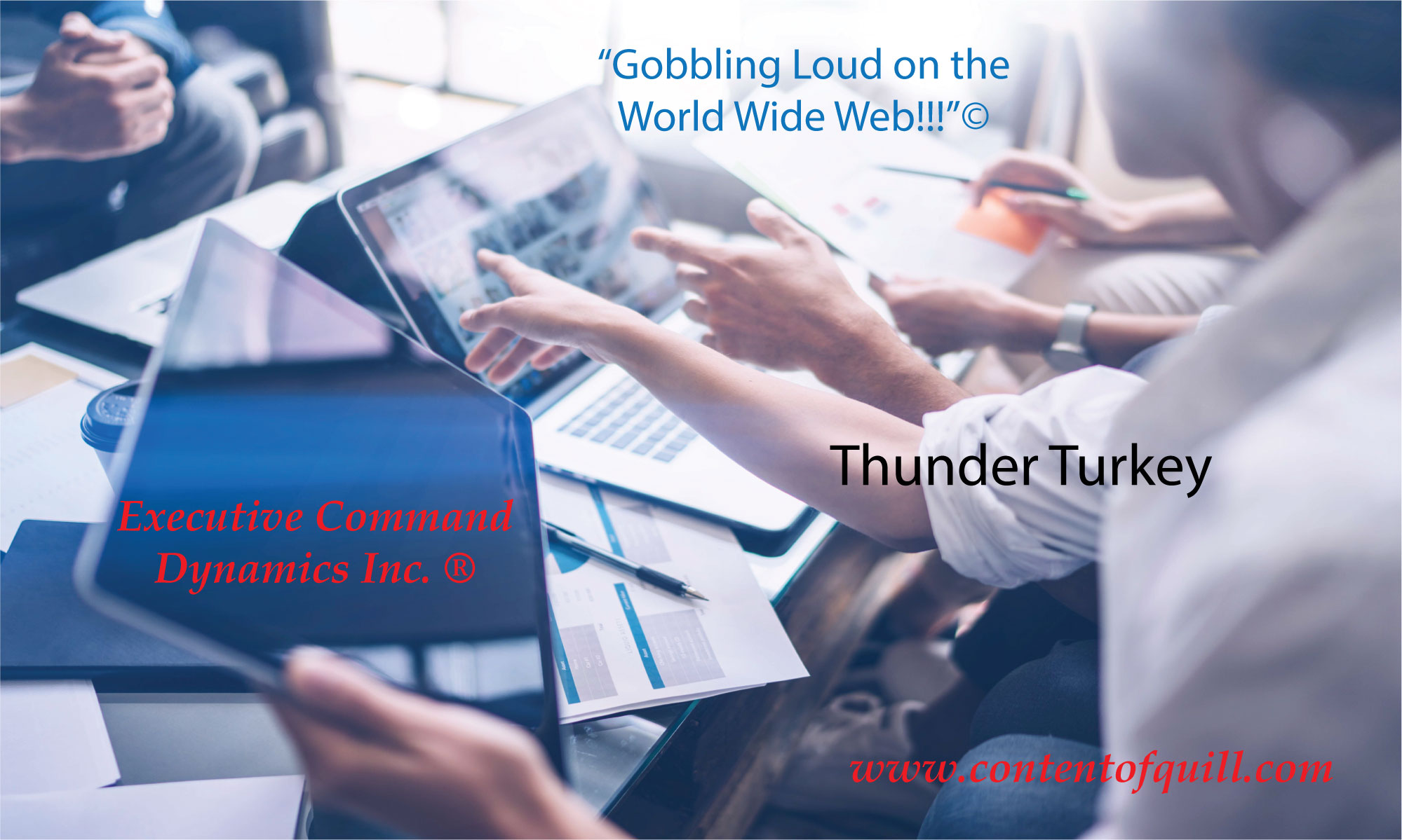 Thunder Turkey Website Content